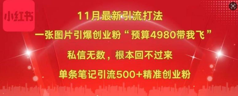 小红书11月最新图片打粉，一张图片引爆创业粉，“预算4980带我飞”，单条引流500+精准创业粉-网创空间