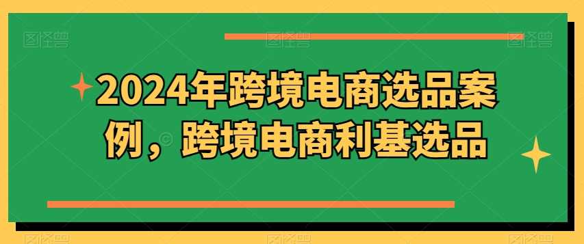 2024年跨境电商选品案例，跨境电商利基选品（更新11月）-网创空间