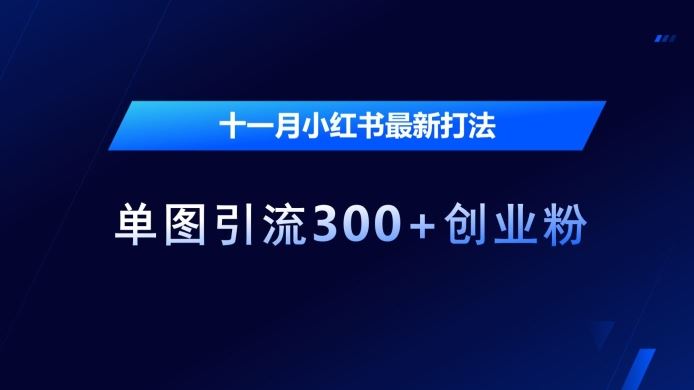 十一月小红书最新打法，单图引流300+创业粉【揭秘】-网创空间