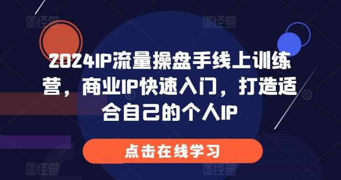 2024IP流量操盘手线上训练营，商业IP快速入门，打造适合自己的个人IP-网创空间