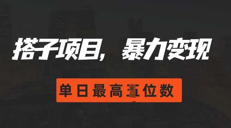 2024搭子玩法，0门槛，暴力变现，单日最高破四位数【揭秘】-网创空间