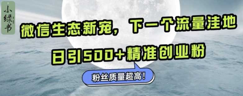 微信生态新宠小绿书：下一个流量洼地，日引500+精准创业粉，粉丝质量超高-网创空间
