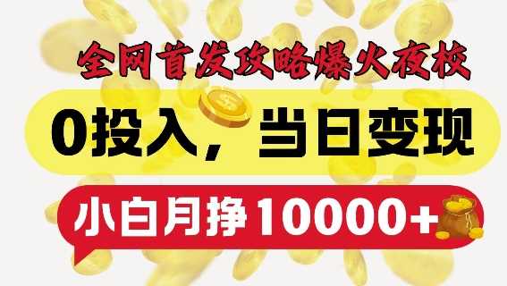 全网首发爆火夜校，0投入，当日变现，小白轻松月入1w+【揭秘】-网创空间