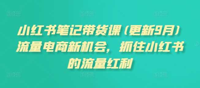 小红书笔记带货课(更新11月)流量电商新机会，抓住小红书的流量红利-网创空间