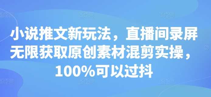 小说推文新玩法，直播间录屏无限获取原创素材混剪实操，100%可以过抖-网创空间
