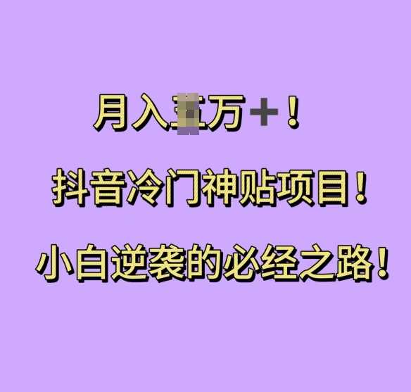 抖音冷门神贴项目，小白逆袭的必经之路，月入过W【揭秘】-网创空间