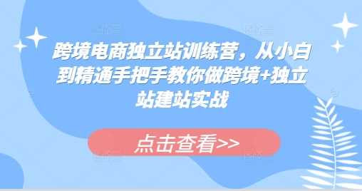 跨境电商独立站训练营，从小白到精通手把手教你做跨境+独立站建站实战-网创空间