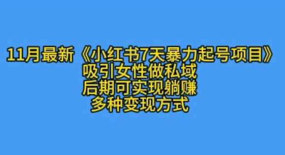 K总部落11月最新小红书7天暴力起号项目，吸引女性做私域【揭秘】-网创空间