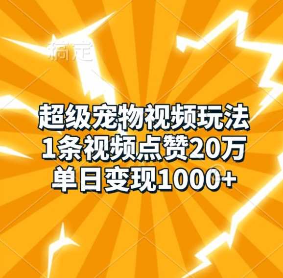 超级宠物视频玩法，1条视频点赞20万，单日变现1k-网创空间