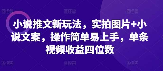 小说推文新玩法，实拍图片+小说文案，操作简单易上手，单条视频收益四位数-网创空间