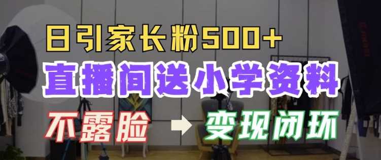 直播间送小学资料，每天引流家长粉500+，变现闭环模式【揭秘】-网创空间