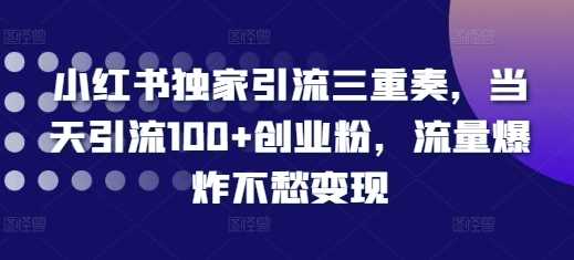 小红书独家引流三重奏，当天引流100+创业粉，流量爆炸不愁变现【揭秘】-网创空间