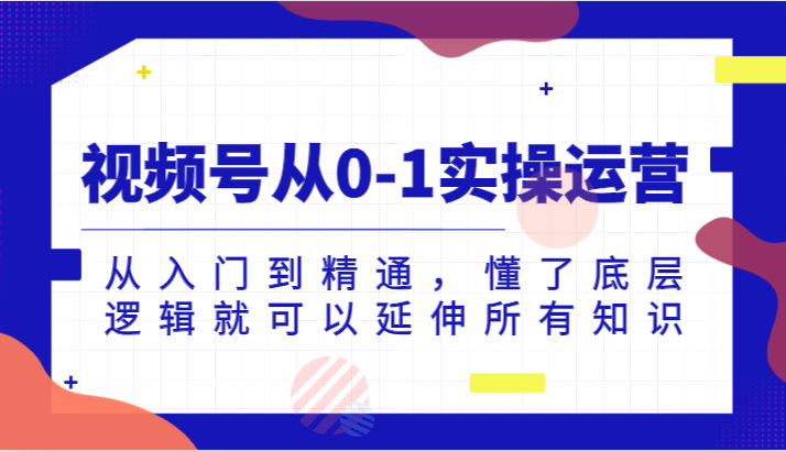 视频号从0-1实操运营，从入门到精通，懂了底层逻辑就可以延伸所有知识（更新2024.7）-网创空间