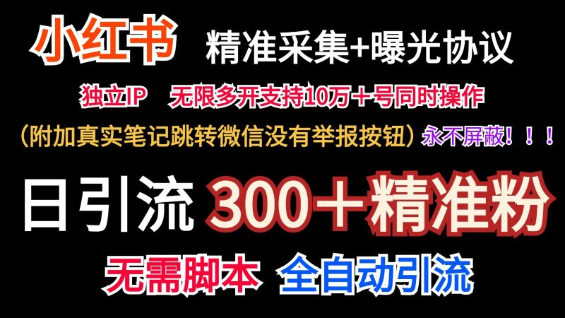 小红薯精准采集+无限曝光+真实笔记跳转微信,永不屏蔽(日引300+精准粉)-网创空间