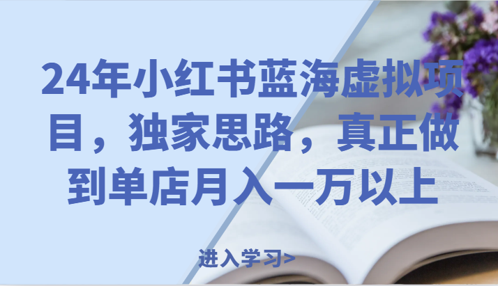 24年小红书蓝海虚拟项目，独家思路，真正做到单店月入一万以上。-网创空间