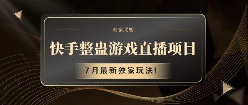 快手游戏整蛊直播项目 七月最新独家玩法-网创空间