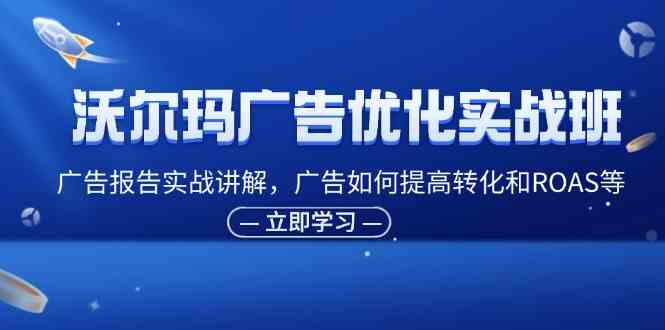 沃尔玛广告优化实战班，广告报告实战讲解，广告如何提高转化和ROAS等-网创空间