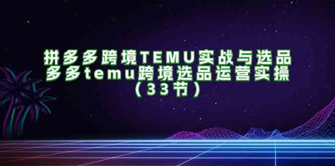 拼多多跨境TEMU实战与选品，多多temu跨境选品运营实操（33节）-网创空间