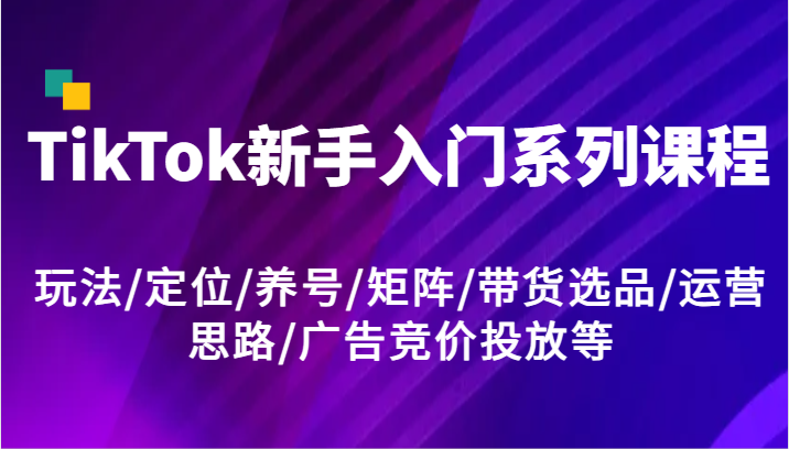 TikTok新手入门系列课程，玩法/定位/养号/矩阵/带货选品/运营思路/广告竞价投放等-网创空间