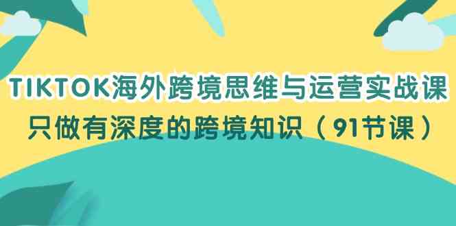 TIKTOK海外跨境思维与运营实战课，只做有深度的跨境知识（91节课）-网创空间