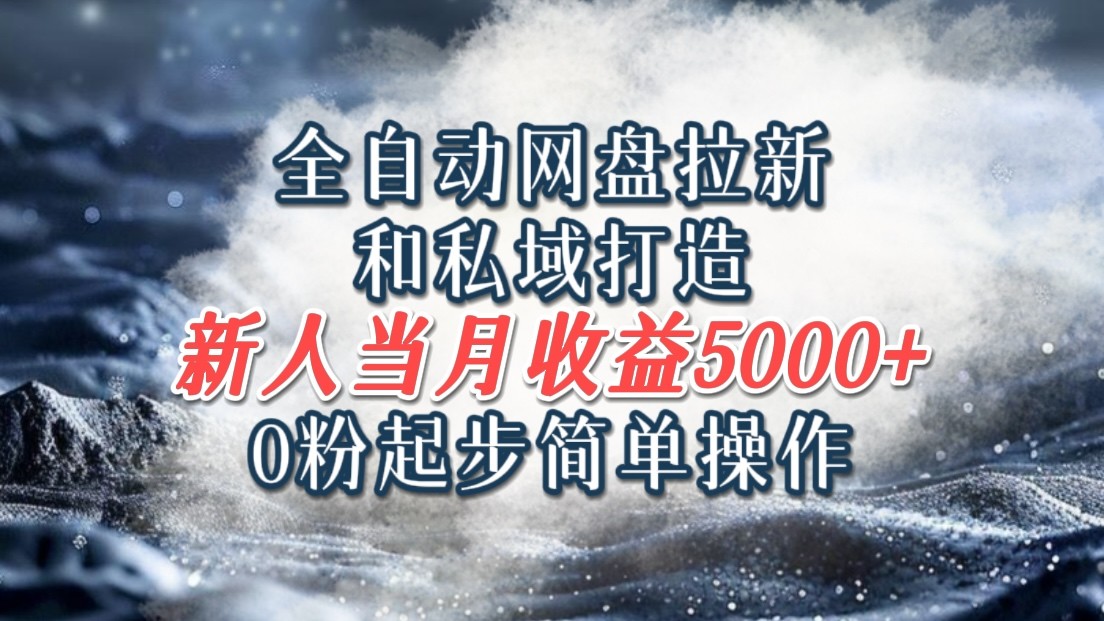 全自动网盘拉新和私域打造，0粉起步简单操作，新人入门当月收益5000以上-网创空间