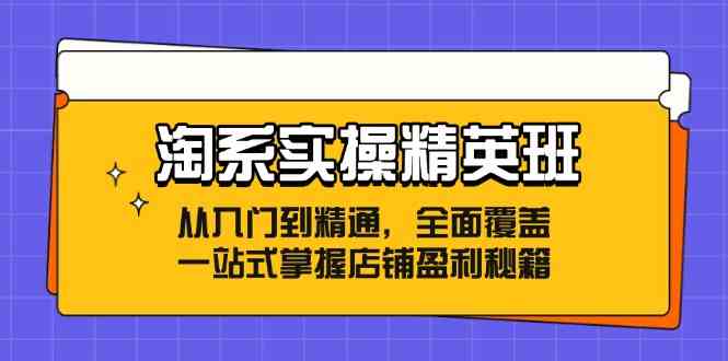 淘系实操精英班：从入门到精通，全面覆盖，一站式掌握店铺盈利秘籍-网创空间