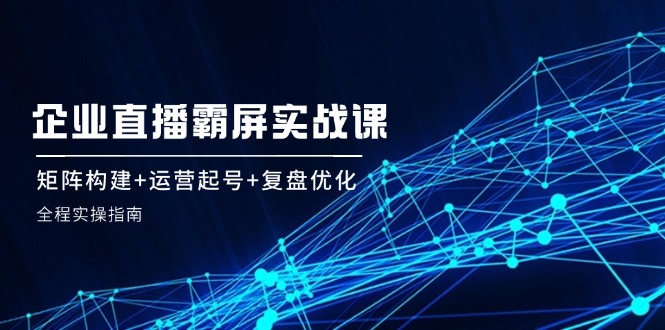 企业直播霸屏实战课：矩阵构建+运营起号+复盘优化，全程实操指南-网创空间