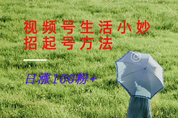 视频号生活小妙招分享赛道， 起号涨粉新方法，日涨100粉-网创空间