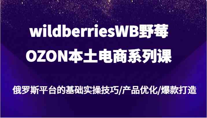 wildberriesWB野莓/OZON本土电商系列课，俄罗斯平台的基础实操技巧/产品优化/爆款打造-网创空间