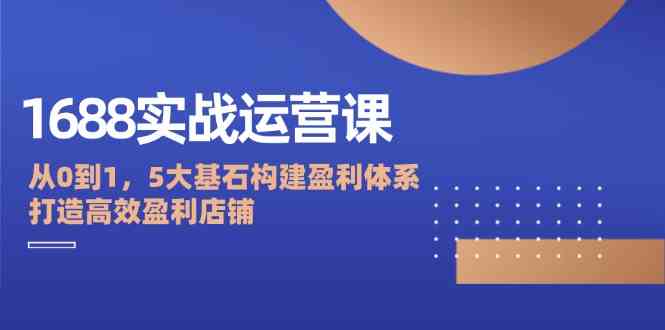 1688实战运营课：从0到1，5大基石构建盈利体系，打造高效盈利店铺-网创空间