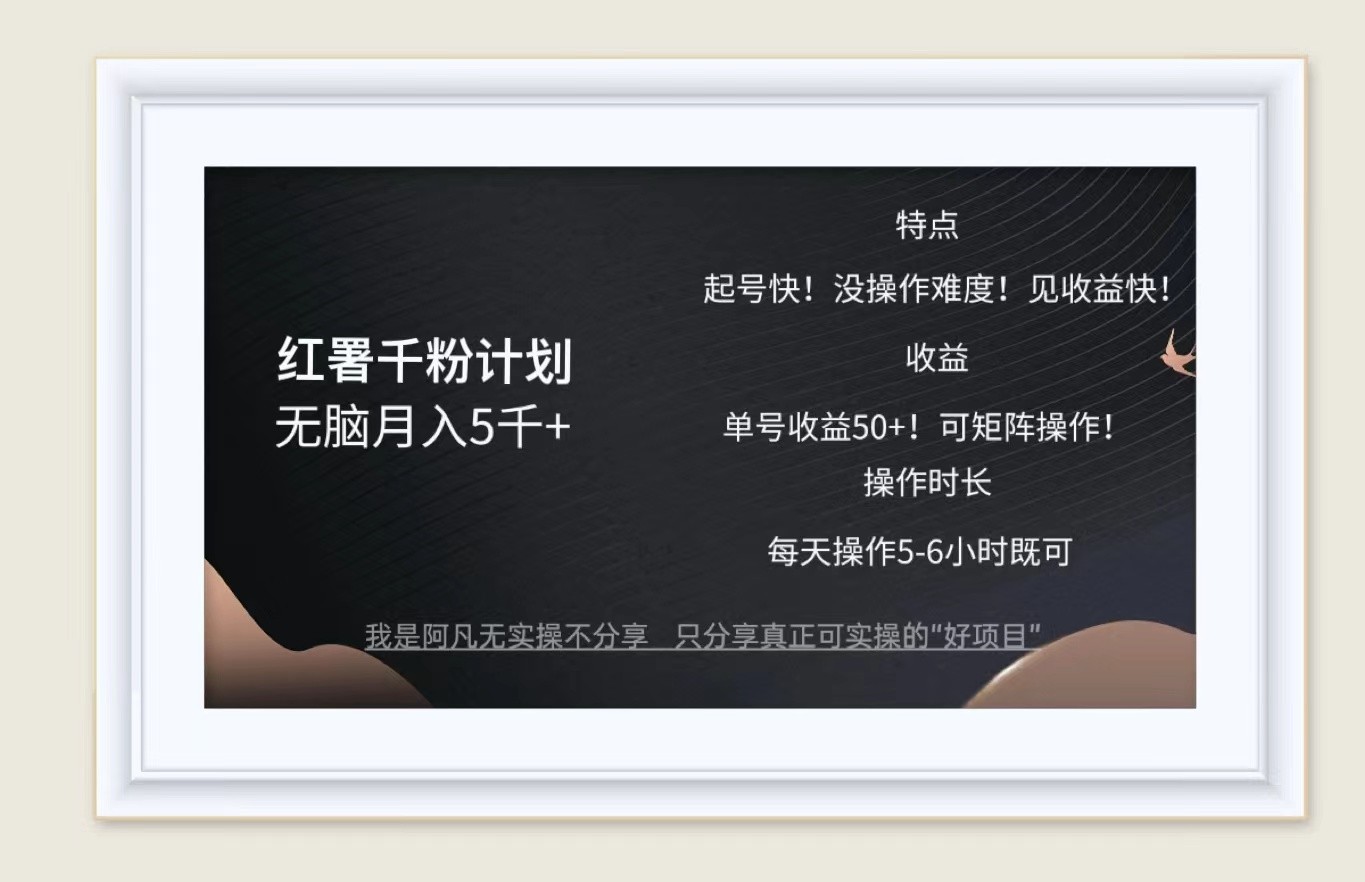 红薯千粉计划无脑月入5千+！既做既赚！-网创空间