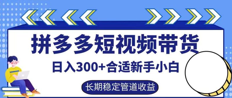 拼多多短视频带货日入300+，实操账户展示看就能学会-网创空间