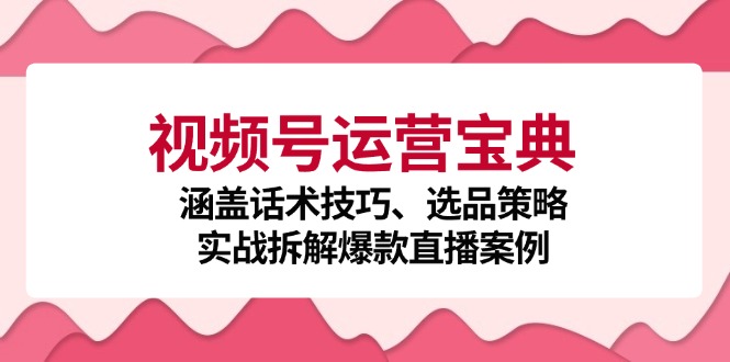 视频号运营宝典：涵盖话术技巧、选品策略、实战拆解爆款直播案例-网创空间