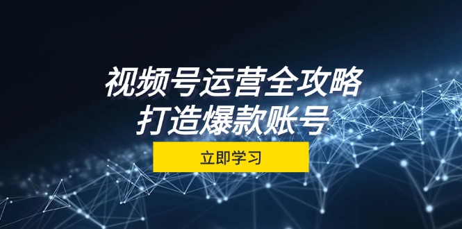 视频号运营全攻略，从定位到成交一站式学习，视频号核心秘诀，打造爆款账号-网创空间