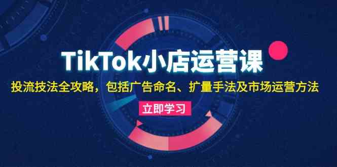 TikTok小店运营课：投流技法全攻略，包括广告命名 扩量手法及市场运营方法-网创空间
