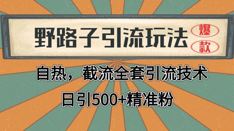 抖音小红书视频号全平台引流打法，全自动引流日引2000+精准客户-网创空间