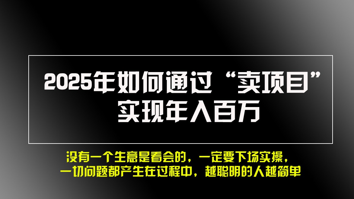 2025年如何通过“卖项目”实现年入百万-网创空间
