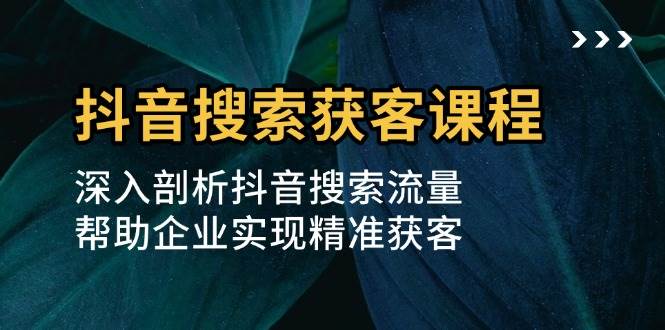 抖音搜索获客课程：深入剖析抖音搜索流量，帮助企业实现精准获客-网创空间