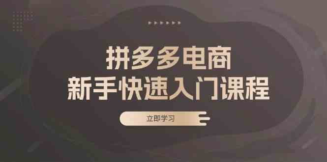 拼多多电商新手快速入门课程：涵盖基础、实战与选款，助力小白轻松上手-网创空间