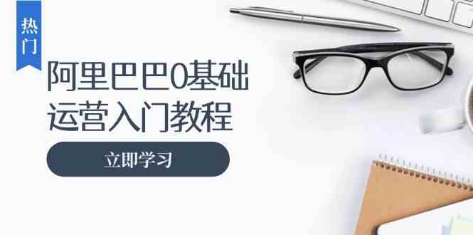 阿里巴巴运营零基础入门教程：涵盖开店、运营、推广，快速成为电商高手-网创空间