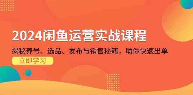 2024闲鱼运营实战课程：揭秘养号、选品、发布与销售秘籍，助你快速出单-网创空间