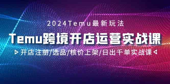 （9208期）2024Temu跨境开店运营实战课，开店注册/选品/核价上架/日出千单实战课-网创空间
