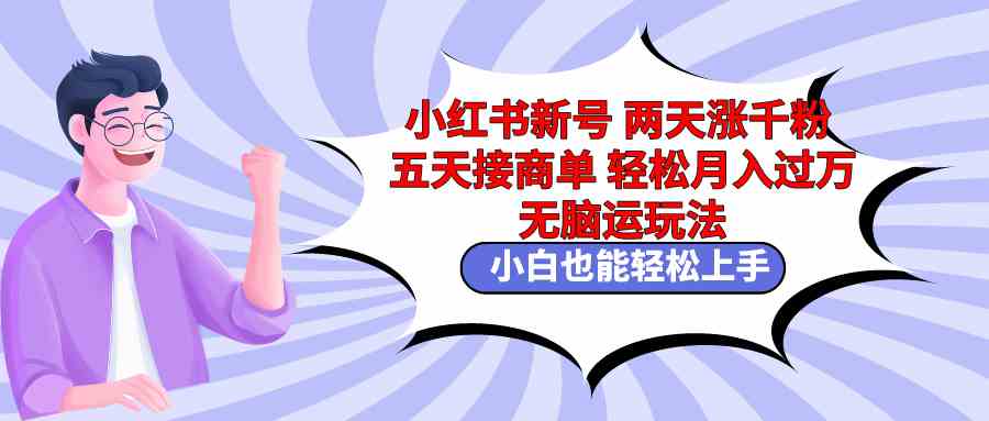 （9239期）小红书新号两天涨千粉五天接商单轻松月入过万 无脑搬运玩法 小白也能轻…-网创空间