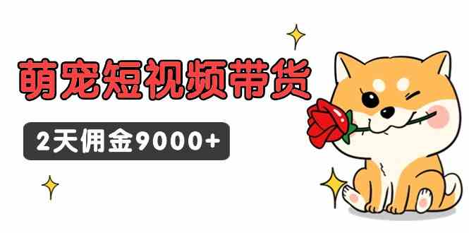 （9273期）东哲日记·萌宠短视频带货，2天佣金9000+-网创空间