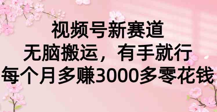 （9277期）视频号新赛道，无脑搬运，有手就行，每个月多赚3000多零花钱-网创空间