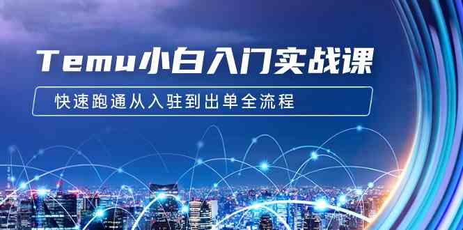 （9295期）Temu小白入门实战课：跨境拼多多电商培训 快速跑通从入驻到出单全流程-12节-网创空间