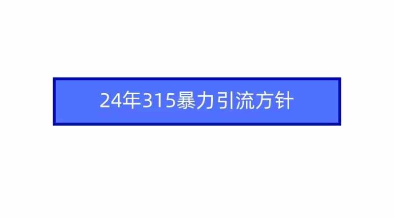 （9398期）2024年315暴力引流方针-网创空间