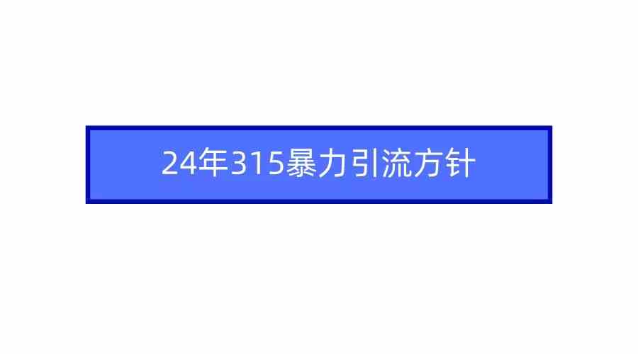 （9398期）2024年315暴力引流方针-网创空间