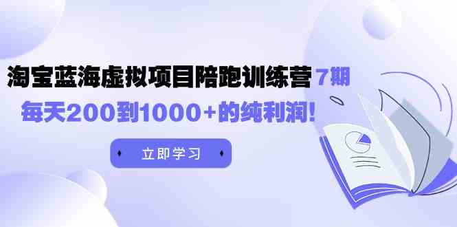 （9541期）黄岛主《淘宝蓝海虚拟项目陪跑训练营7期》每天200到1000+的纯利润-网创空间