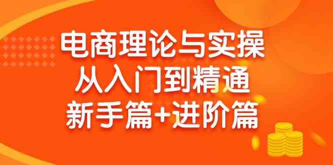 （9576期）电商理论与实操从入门到精通 新手篇+进阶篇-网创空间